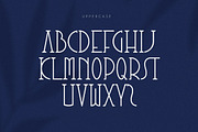 Vitanala | Elegant Serif Font, a Serif Font by Bewalrus Studio (Thumbnail 6 of 7)