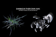 40 Abstract Chrome Renders, an Object Graphic by Dreadlabs (Thumbnail 4 of 7)