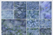 Caelum - Botanical Backgrounds, a Texture Graphic by Watercolor_Ma (Thumbnail 5 of 9)