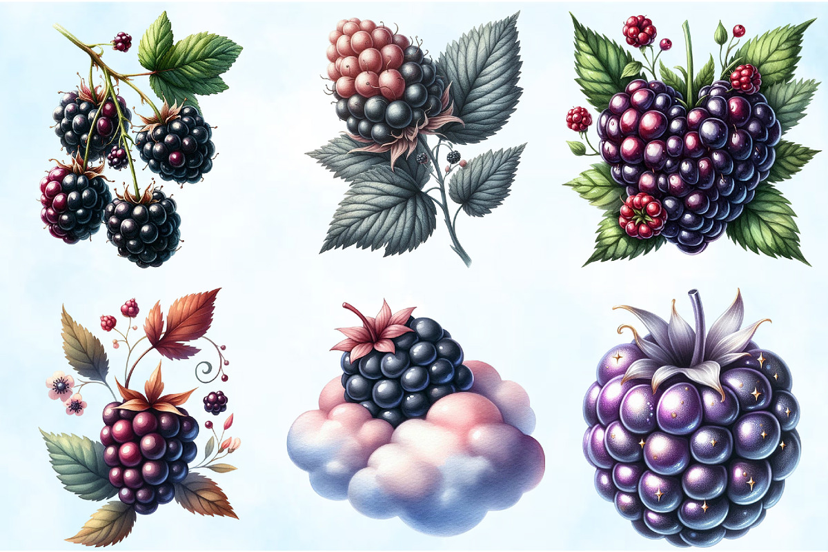Watercolor Blackberry Clipart, an Illustration by Craft Nest (Photo 4 of 6)