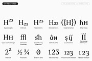 TT Jenevers, a Serif Font by TypeType (Thumbnail 12 of 15)