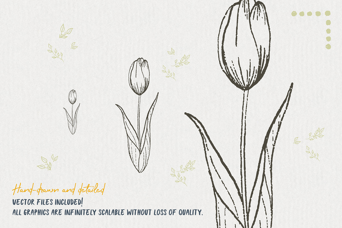 Bohemian Spring Illustrations, a Texture Illustration by amber&ink (Photo 4 of 6)