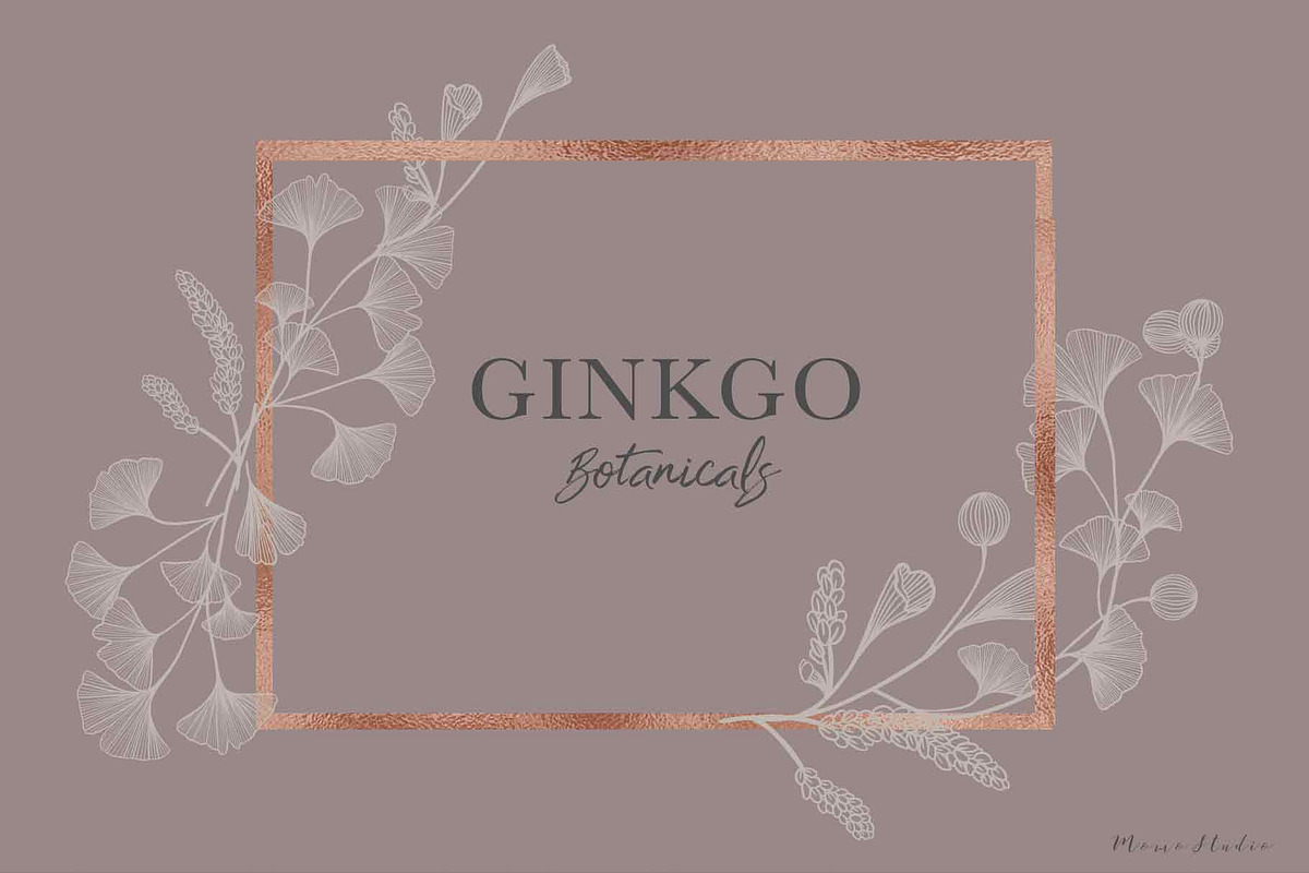 Ginkgo Botanicals - Florals & Leaves, an Illustration by Momo Studio (Photo 6 of 13)