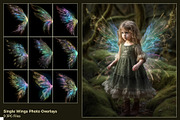 Colorful Fairy Wings, a Texture Graphic by HappyNews (Thumbnail 3 of 10)
