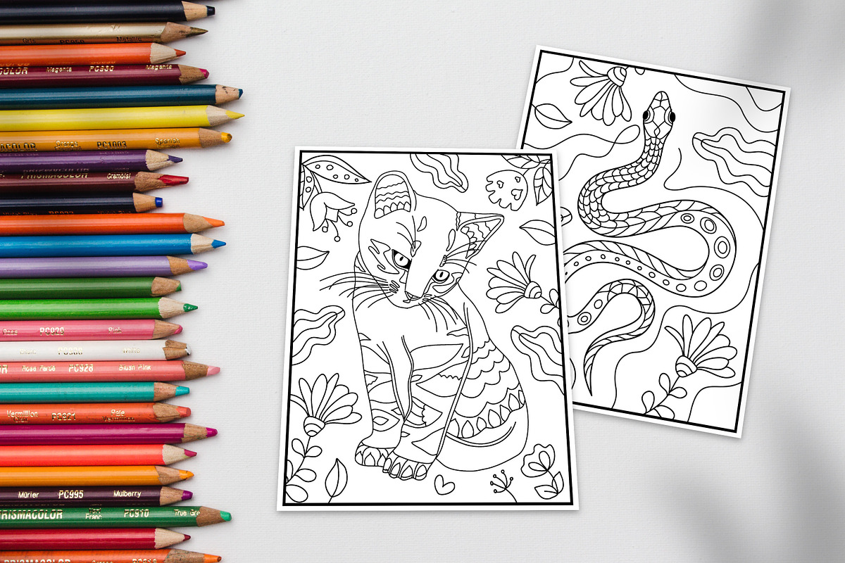 20 Coloring Pages for kids | Animals, an Animal Illustration by ChristinaDesigns (Photo 2 of 8)