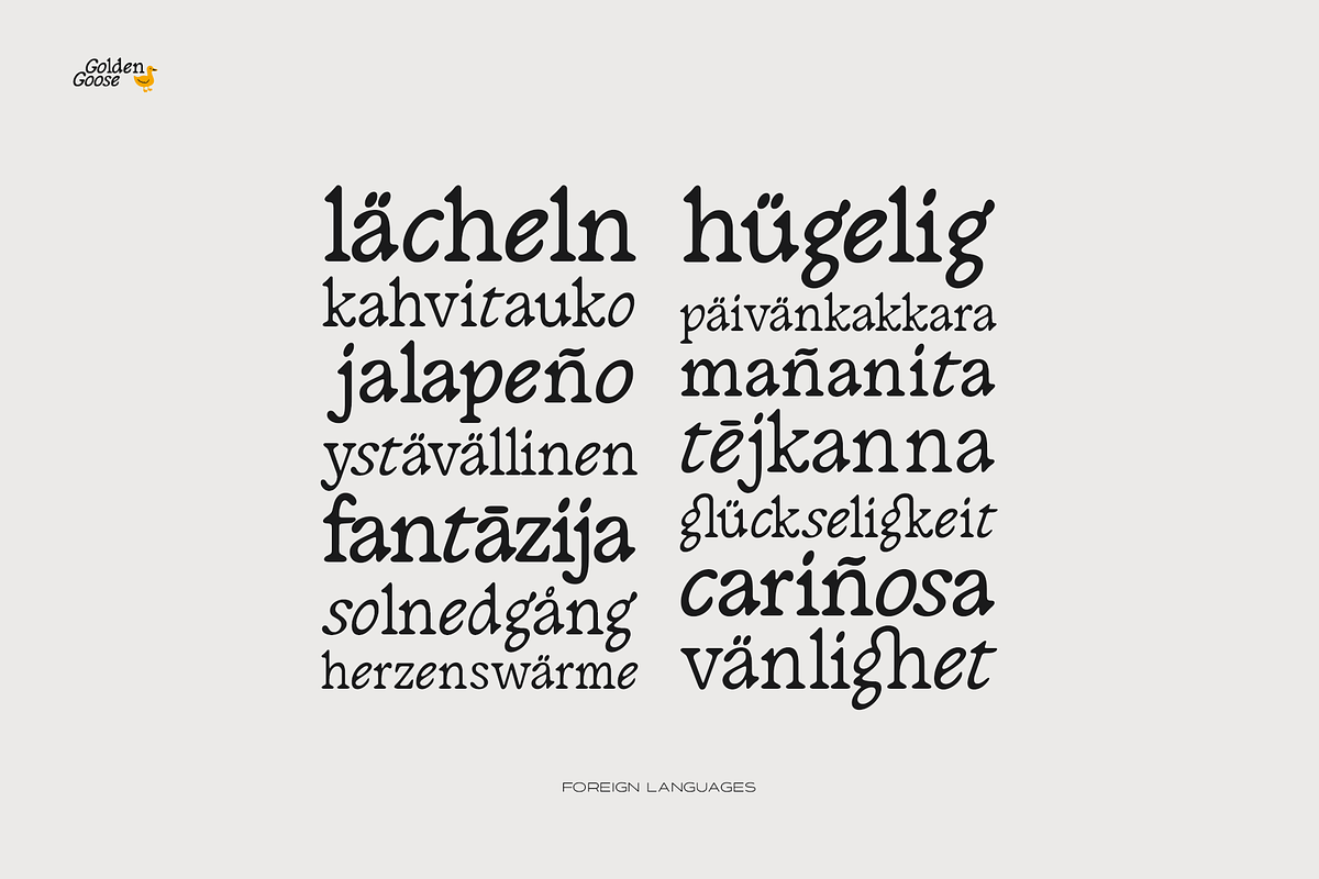 Golden Goose – Italic Infused Serif, a Serif Font by Unio Designs (Photo 4 of 12)