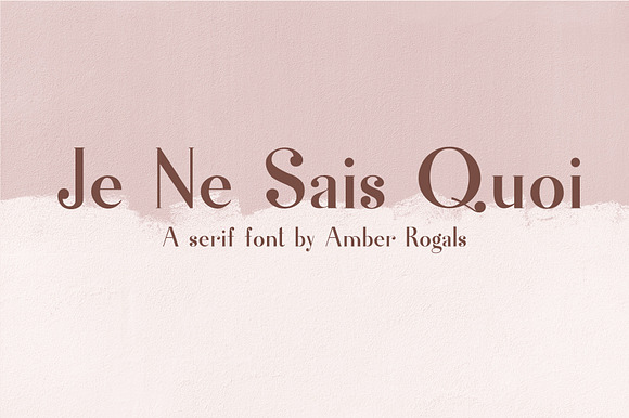 Je Ne Sais Quoi- A Luxury Serif Font preview 7