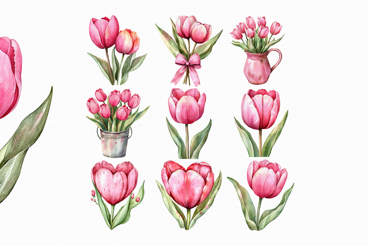 Watercolor Flowers Clipart, Tulip, an Illustration by Libby Wishes (Photo 4 of 4)