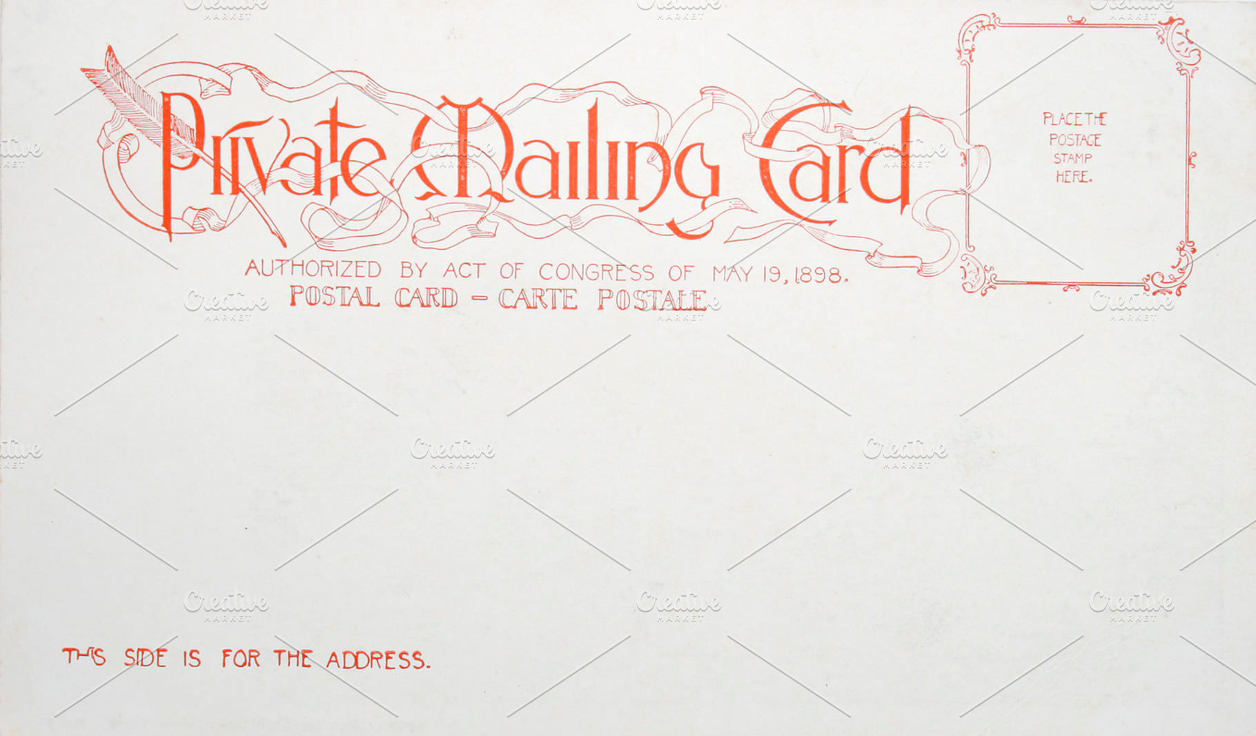 Vintage Blank Postcard