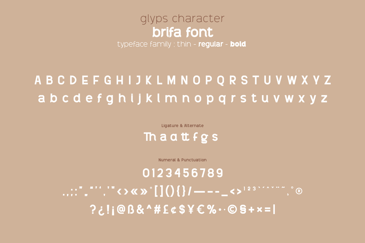 brifa, a Sans Serif Font by twinstd (Photo 13 of 14)