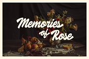 Lematins Script - Brush Font, a Script Font by Holyline Design (Thumbnail 4 of 15)
