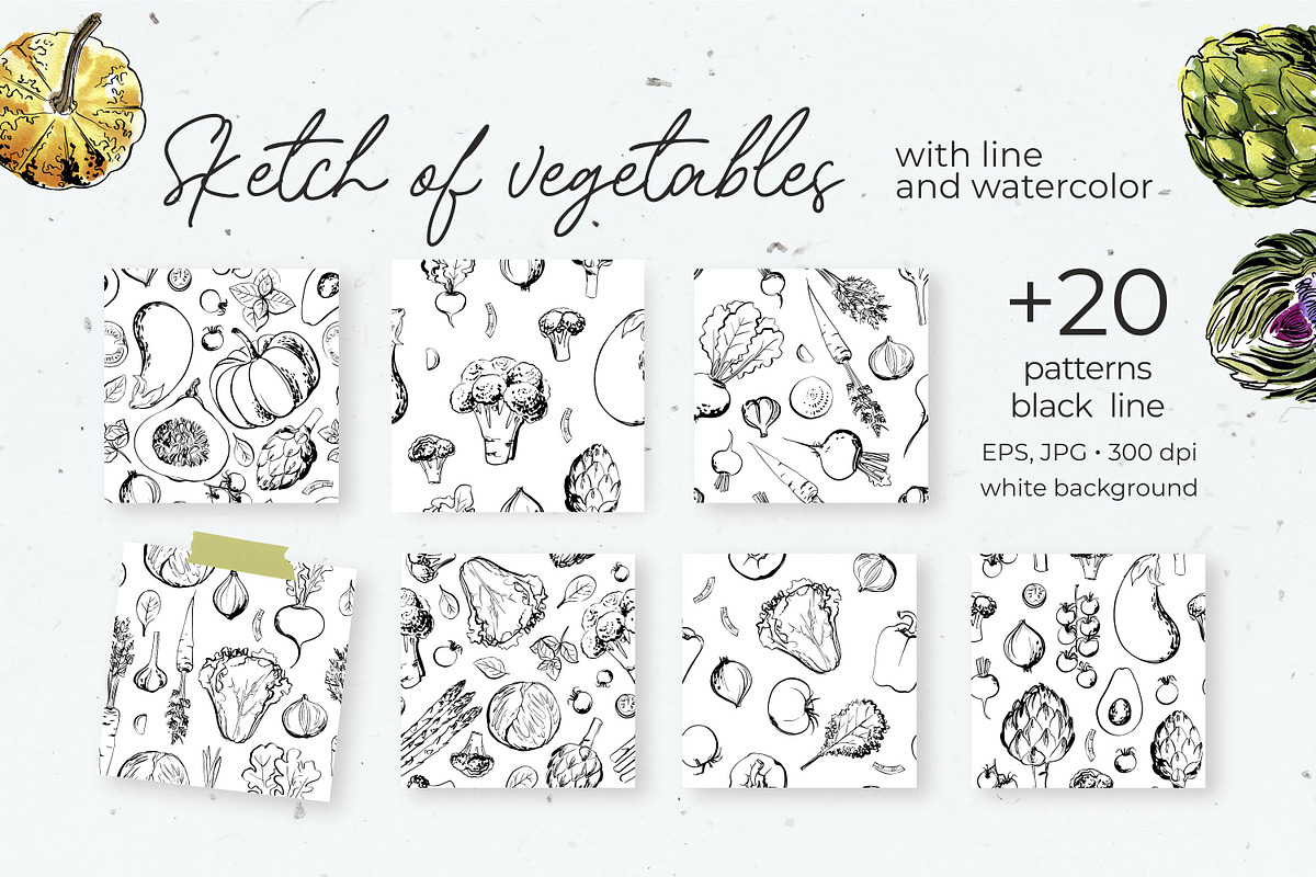 Vegetables vector sketch watercolor, a Food Illustration by irina.vaneeva (Photo 6 of 18)