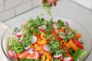 Orange Wellness Bundle, a Health & Medical Photo by Wellness Stock Market (Thumbnail 18 of 20)