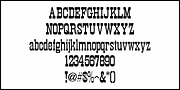 Town Meeting JNL, a Slab Serif Font by Jeff Levine Fonts (Thumbnail 3 of 5)