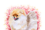 Watercolor Dogs Mega Big Bundle, an Illustration by Dneprstock (Thumbnail 50 of 60)