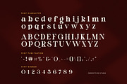 Domick – Elegant Serif Typeface, a Serif Font by Perfectype (Thumbnail 7 of 8)