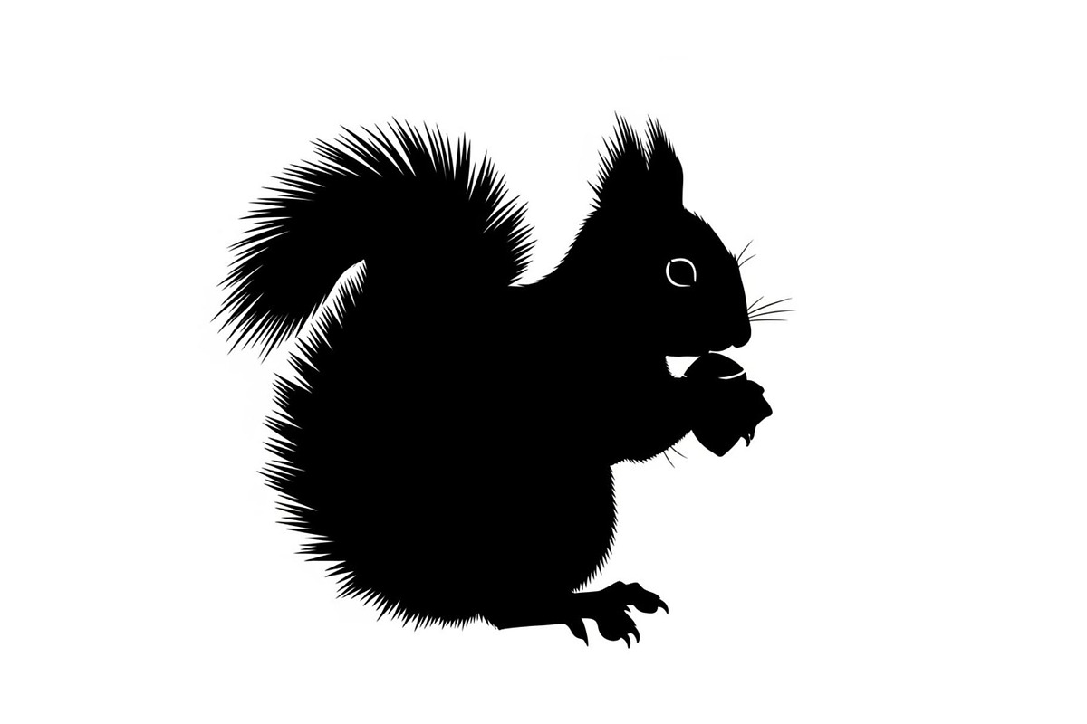 Black Squirrel Vector Icon Bundle, an Illustration by jahid234 (Photo 4 of 51)