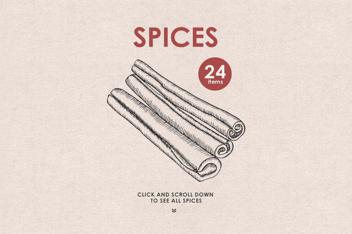 Herbs, Spices, Nuts. Hand drawn set., a Decorative Illustration by Chelovector (Photo 3 of 4)