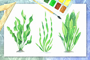 Watercolor tropical fish, an Illustration by Art Watercolor (Thumbnail 7 of 8)