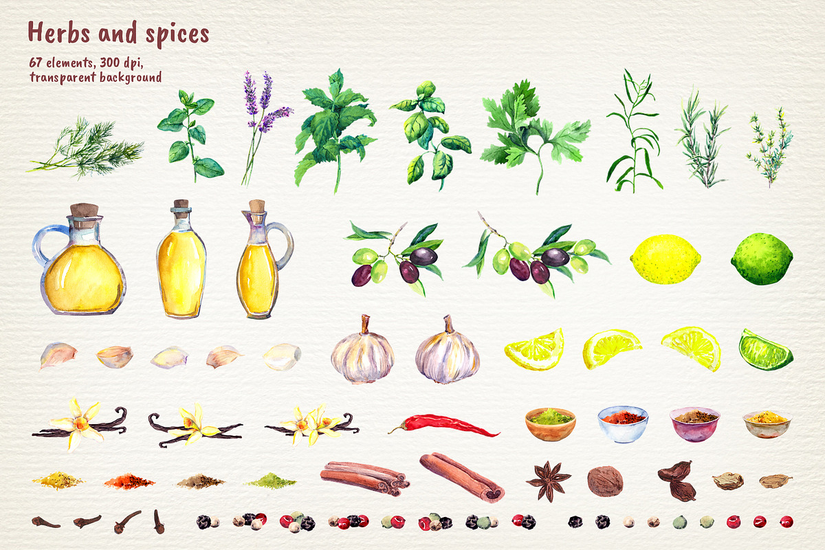 Herbs & Spices Watercolor Clipart, a Food Illustration by Where summer is (Photo 2 of 11)