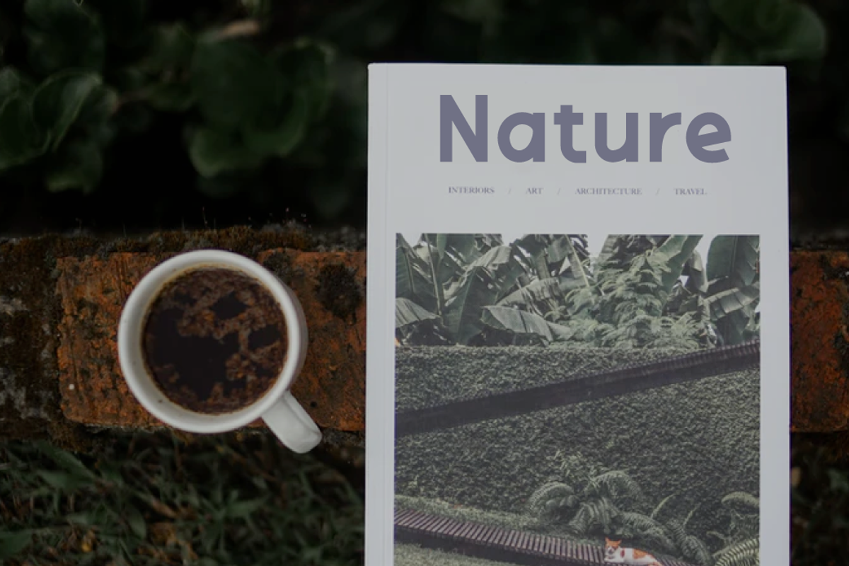 Bosan, a Sans Serif Font by twinstd (Photo 9 of 11)