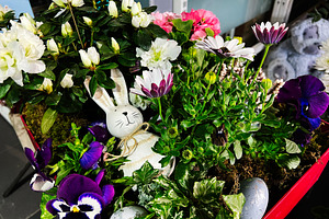 Decorative rabbit among colorful spring flowers and green foliage in a garden s, a Photo by AS photostudio