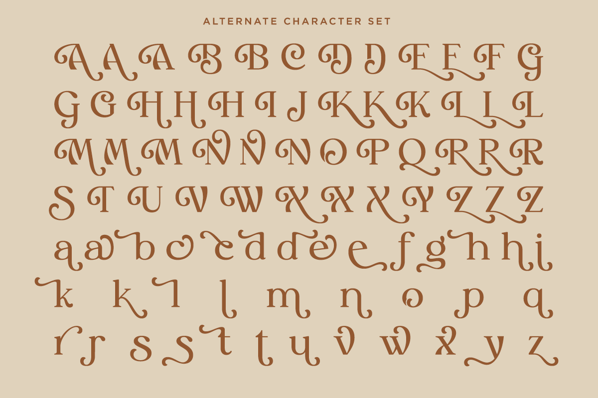 Myles Birdsie - Decorative Font, a Serif Font by Say Studio (Photo 9 of 10)