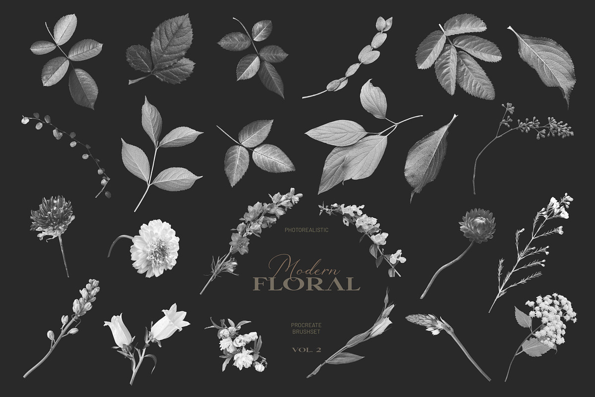 Modern Floral Procreate Brushes V2, a Brush Add-On by Eclectic Anthology (Photo 11 of 11)
