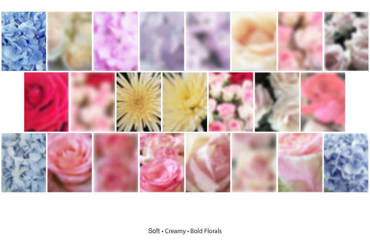 65 Soft Bloom Blur Backgrounds., a Background Graphic by TaPilipa (Photo 7 of 9)