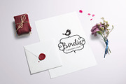 Allure Feminine logo pack, a Branding & Logo Template by Nues Design (Thumbnail 10 of 17)