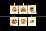 Zodiac Signs Bundle, an Animal Illustration by Annie Konst (Thumbnail 4 of 13)