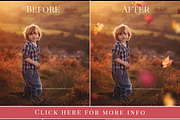 Maple Grove - falling leaves overlay, an Object Graphic by BrownLeopard (Thumbnail 2 of 2)