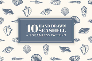 10 Hand Drawn Seashell + 5 Patterns
