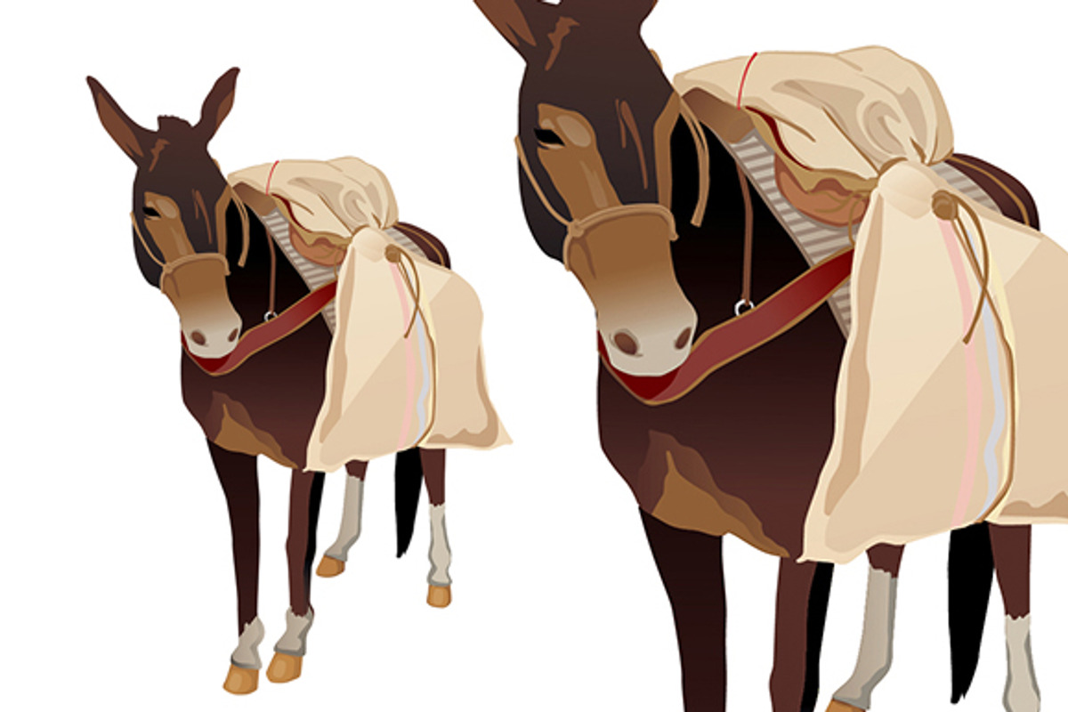 Donkey carrying coffee isolated, an Animal Illustration by Andres Moncayo