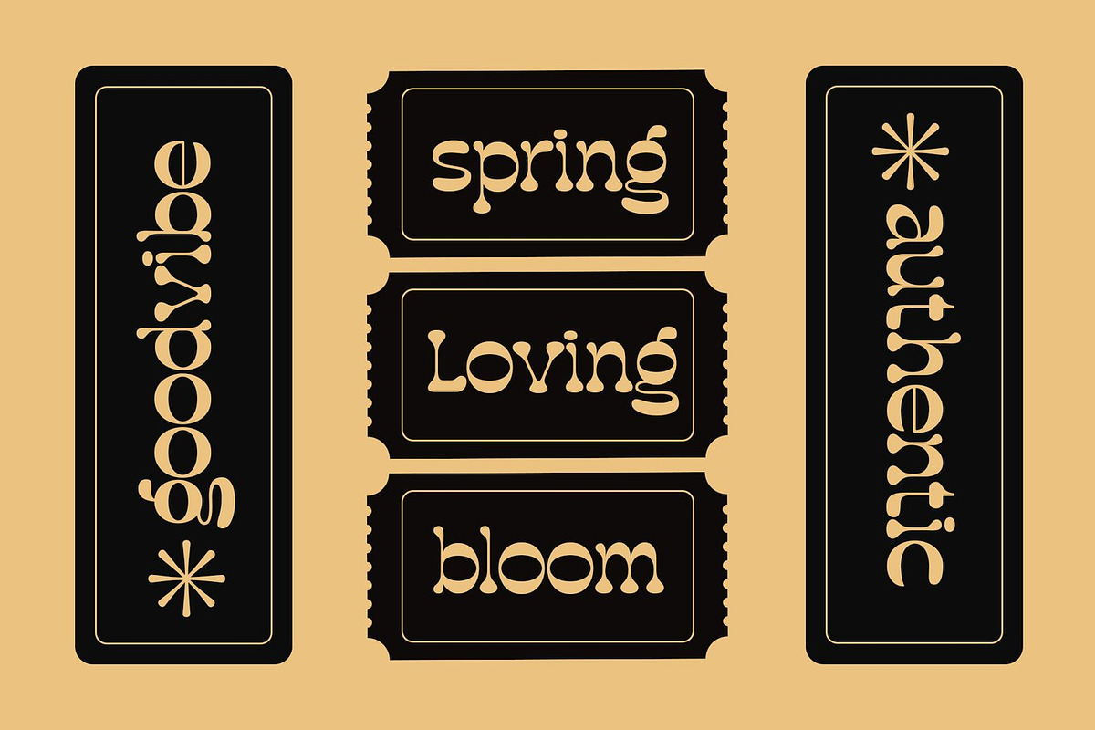 Brack - Modern Decorative Font, a Sans Serif Font by Luna Shop (Photo 5 of 5)