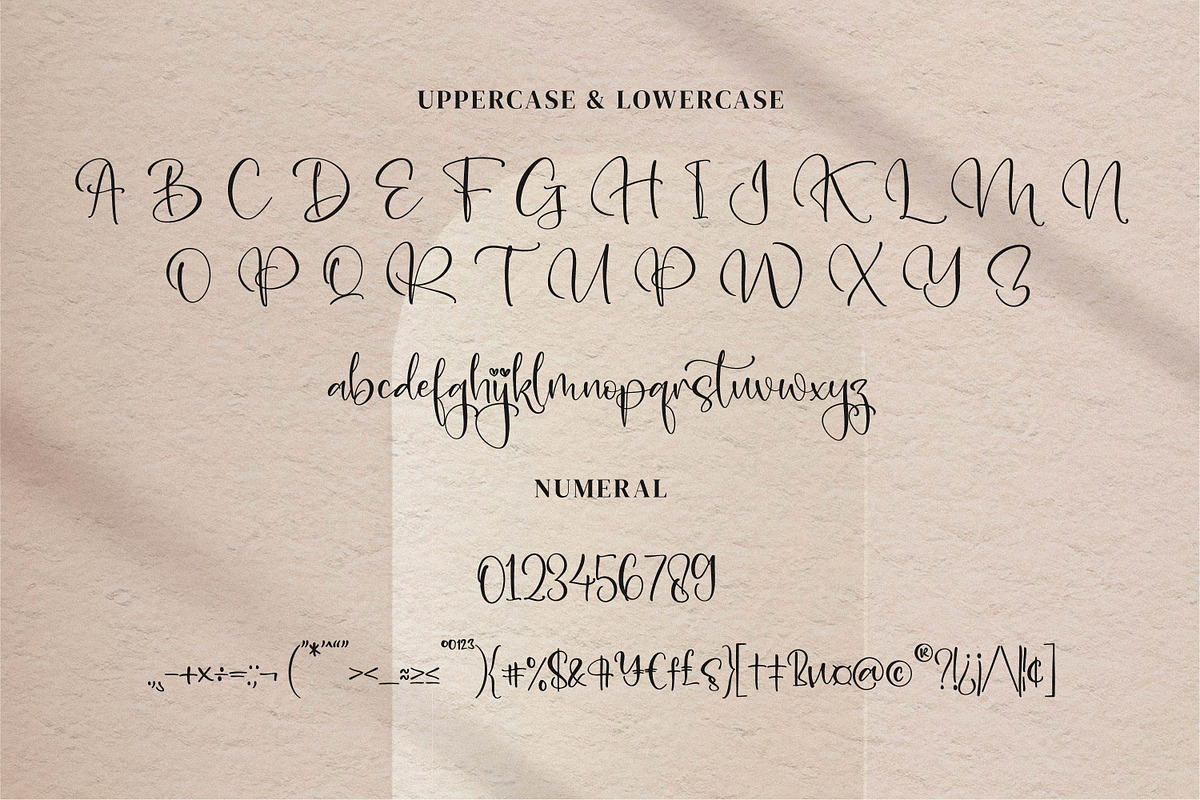 Aleani, a Script Font by Integritype Studio (Photo 9 of 15)