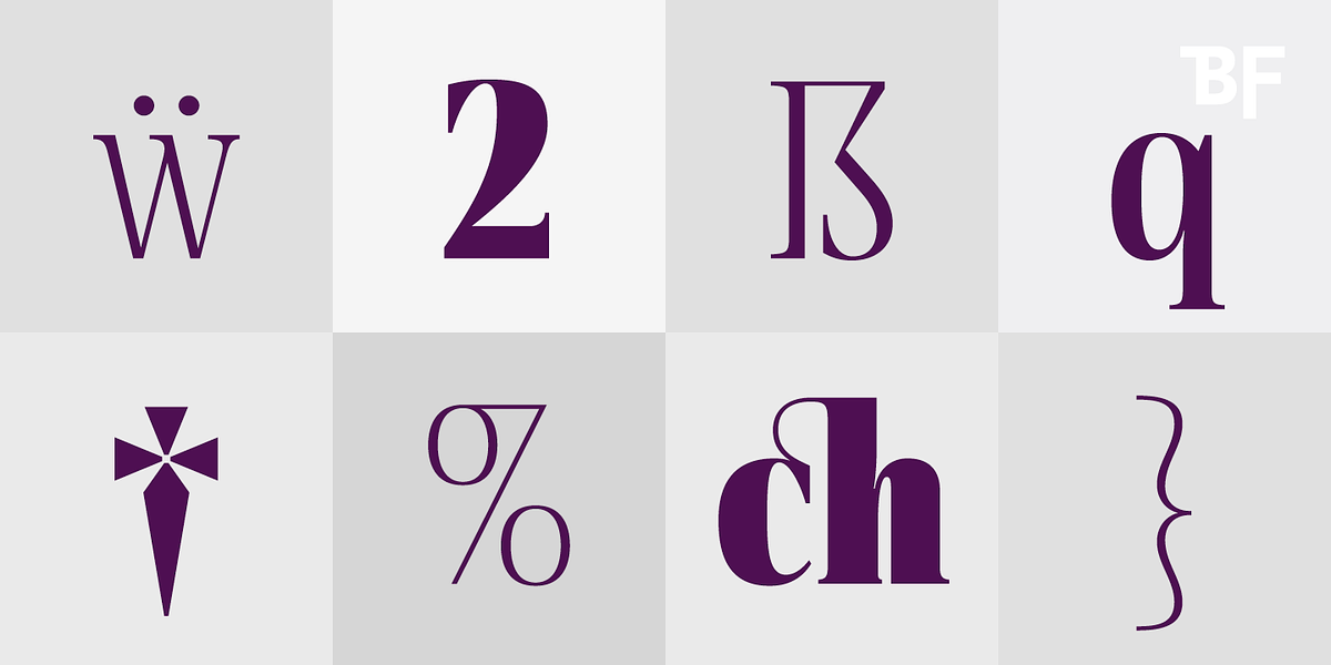 BF Rotwang Pro, a Serif Font by BrassFonts (Photo 7 of 15)
