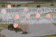 SILK & FLEUR Paper Overlay Gemstone, a Texture Graphic by ana & yvy (Thumbnail 14 of 16)