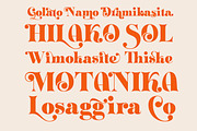 ZT Klotin - Display Typeface, a Serif Font by zelow type (Thumbnail 8 of 15)