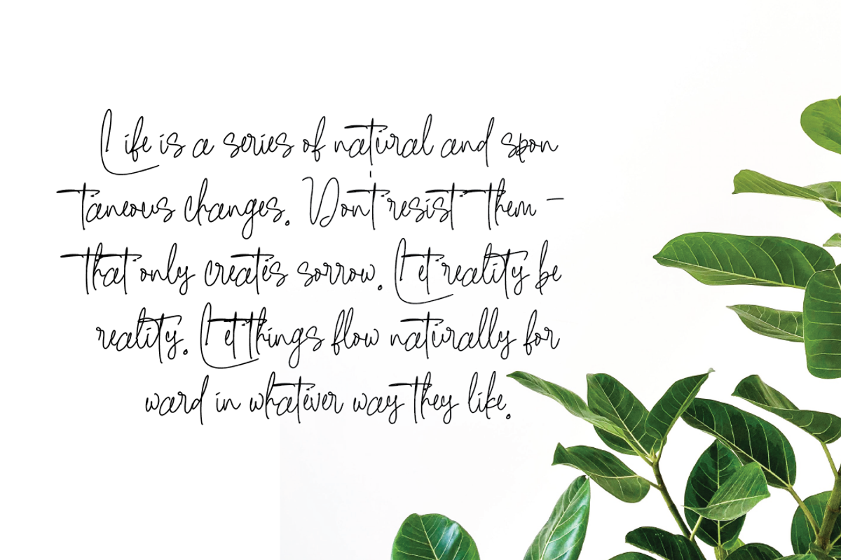 Rainbow Lemonade, a Script Font by asdstudio (Photo 2 of 9)