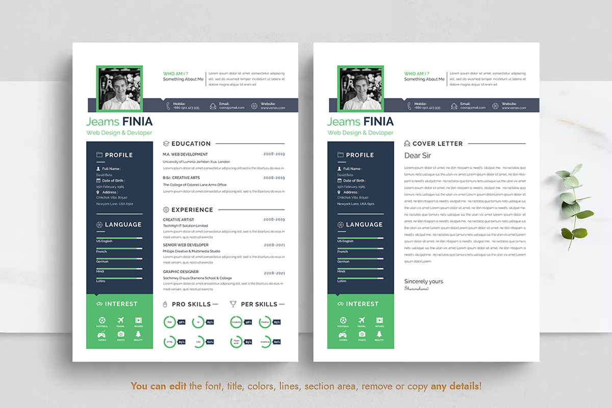 Professional Resume CV Template, a Resume Template by Blackcloud_Creations (Photo 2 of 8)