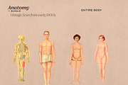 Anatomy Collage Elements 200+, an Illustration by Francesco Stefanini (Thumbnail 6 of 10)