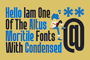Altus Moritile - Combination Font, a Sans Serif Font by Marvadesign (Thumbnail 2 of 12)