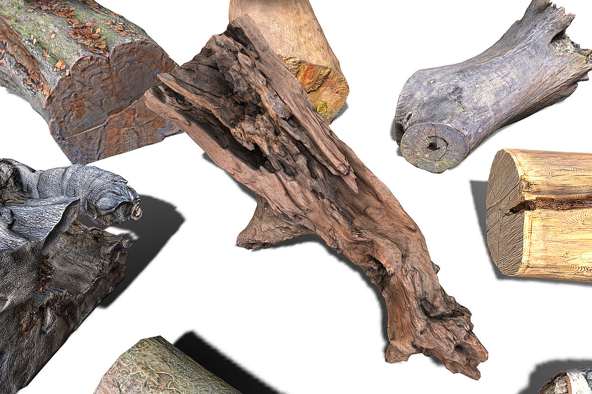 13 Tree Logs, an Environmental 3D Model by Beatheart Creative Studio (Photo 37 of 37)