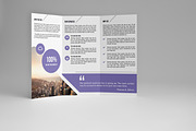 Trifold Brochure Template, a Brochure Template by assaiv (Thumbnail 6 of 9)