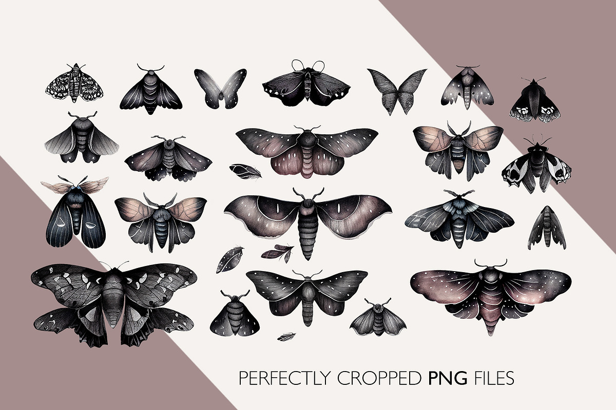 Watercolor Moths: PNG Clipart Set, an Object Graphic by Lumitar (Photo 2 of 4)