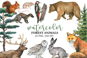 Watercolor Forest Animal Clipart PNG