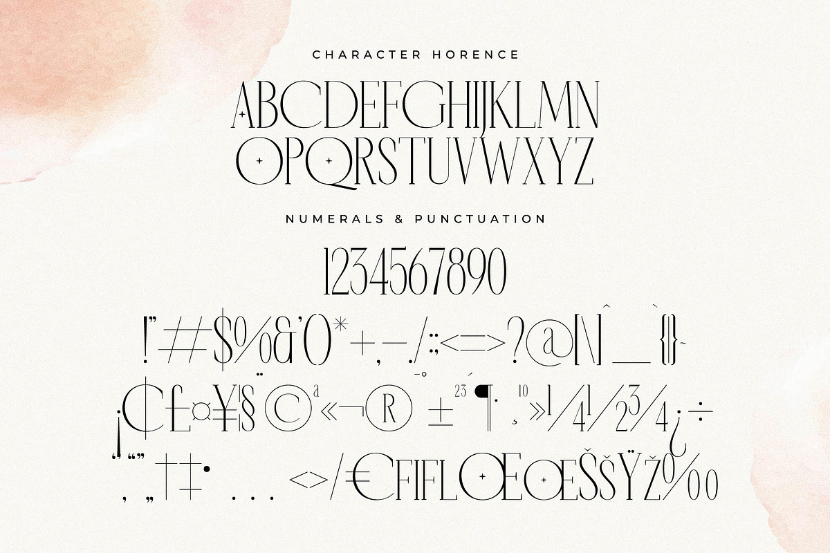 Horence  Ligature Serif Display, a Serif Font by Storytype Studio (Photo 13 of 15)