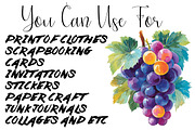 Fruit watercolor clipart set, an Object Illustration by DreamCafeArt (Thumbnail 6 of 6)
