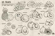 Fruits Line Art + Procreate, a Food Illustration by Skliarova (Thumbnail 4 of 4)